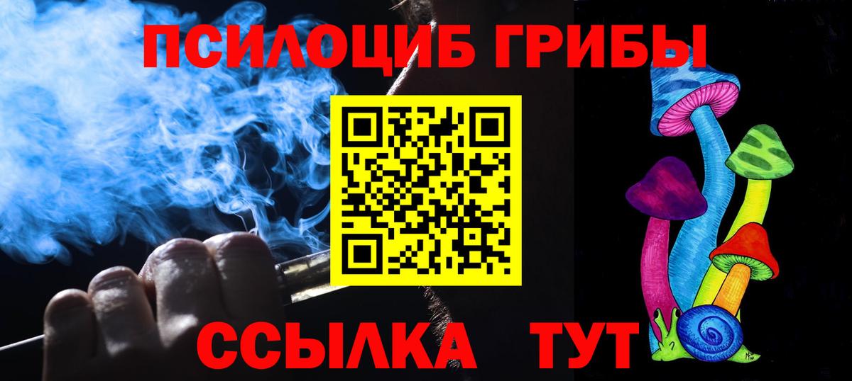 Псилоцибиновые грибы мухоморы  Вход с VPN  Псилоцибиновые грибы мухоморы  где купить наркотик  Новосибирск 